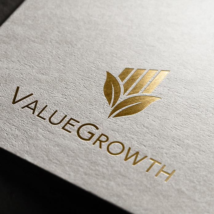 valuegrowth-logo